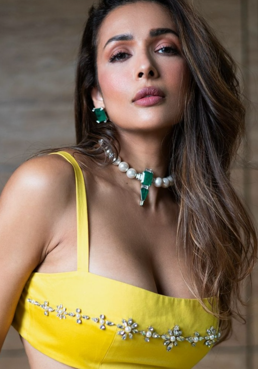 Priya Premium Doublet & Pearls Necklace Set